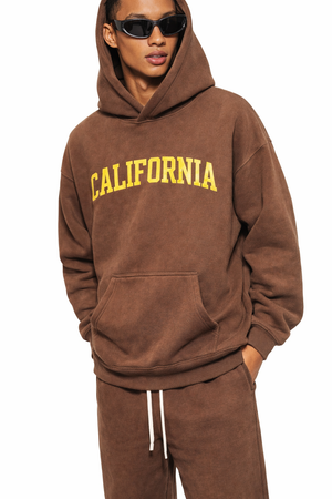 California State Pride Hoodie in Brown / Cream — lifestyle 2