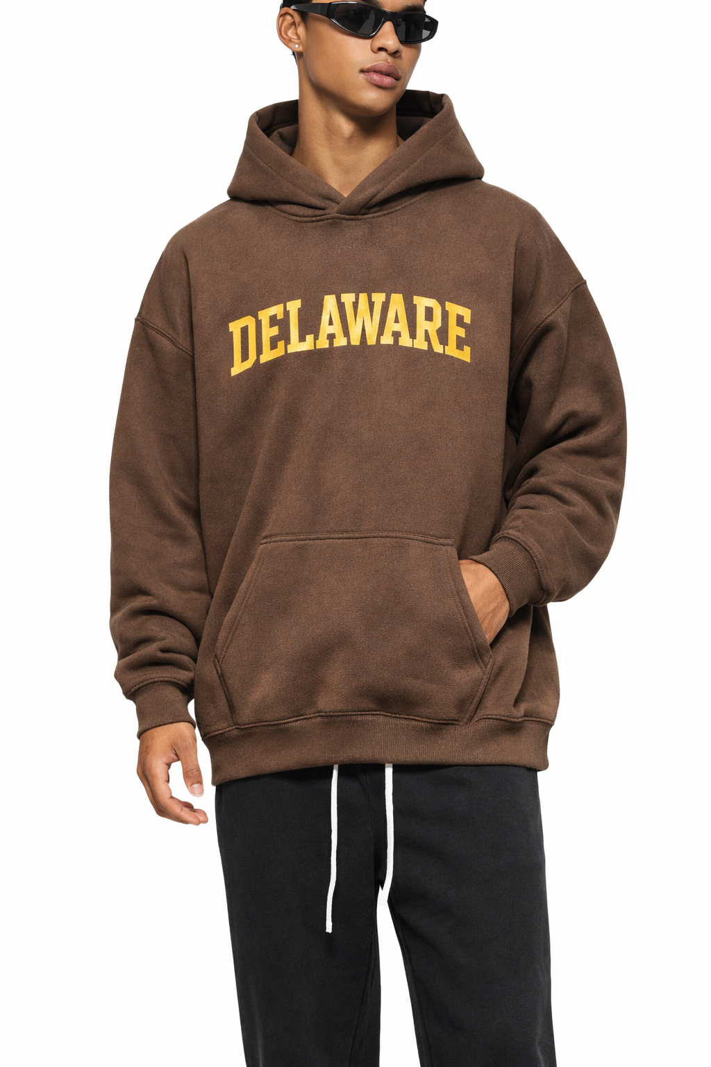 Delaware State Pride Hoodie in Brown / Cream — lifestyle 1
