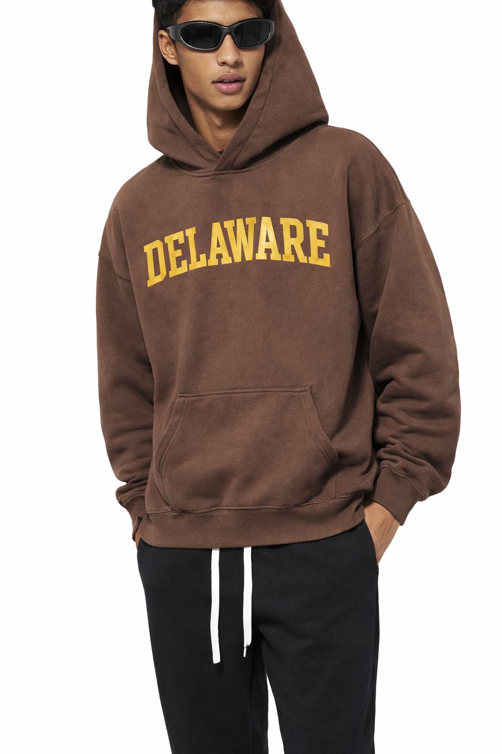 Delaware State Pride Hoodie in Brown / Cream — lifestyle 2
