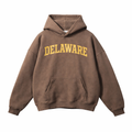 Delaware State Pride Hoodie in Brown / Cream