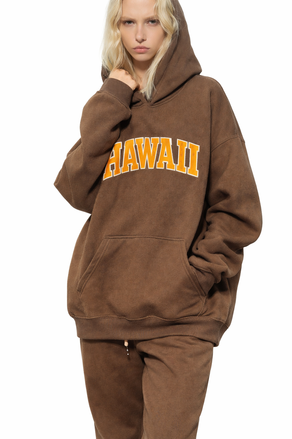 Hawaii State Pride Hoodie in Brown / Cream — lifestyle 2