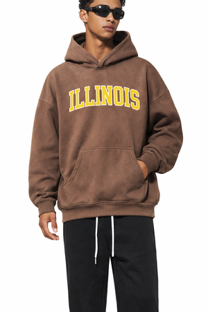 Illinois State Pride Hoodie in Brown / Gold — lifestyle 1