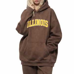 Illinois State Pride Hoodie in Brown / Gold — lifestyle 2