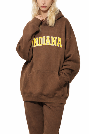 Indiana State Pride Hoodie in Brown / Cream — lifestyle 2