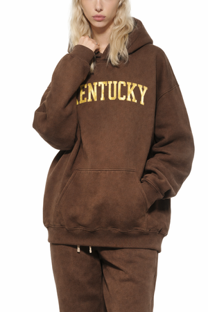 Kentucky State Pride Hoodie in Brown / Cream — lifestyle 2