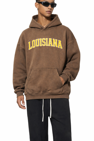 Louisiana State Pride Hoodie in Brown / Gold — lifestyle 1