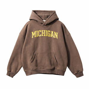 Michigan State Pride Hoodie in Brown / Cream