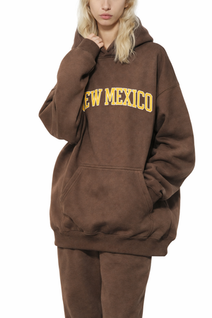 New Mexico State Pride Hoodie in Brown / Gold — lifestyle 2