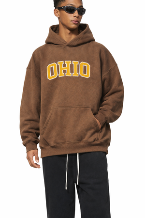 Ohio State Pride Hoodie in Brown / Gold — lifestyle 1