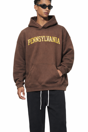 Pennsylvania State Pride Hoodie in Brown / Cream — lifestyle 1