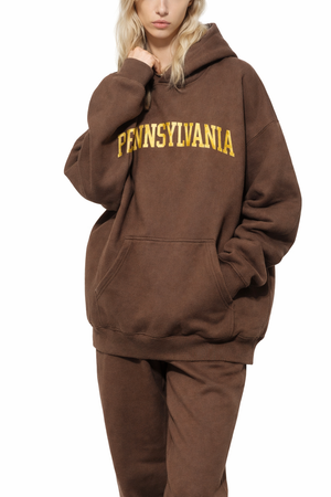 Pennsylvania State Pride Hoodie in Brown / Cream — lifestyle 2