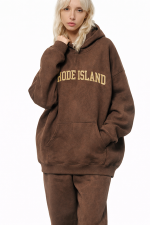 Rhode Island State Pride Hoodie in Brown / Cream — lifestyle 2