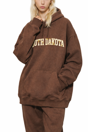 South Dakota State Pride Hoodie in Brown / Cream — lifestyle 2