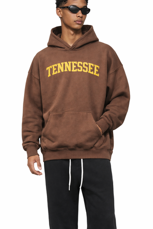 Tennessee State Pride Hoodie in Brown / Cream — lifestyle 1