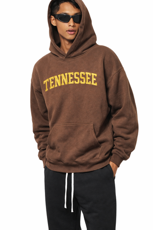 Tennessee State Pride Hoodie in Brown / Cream — lifestyle 2