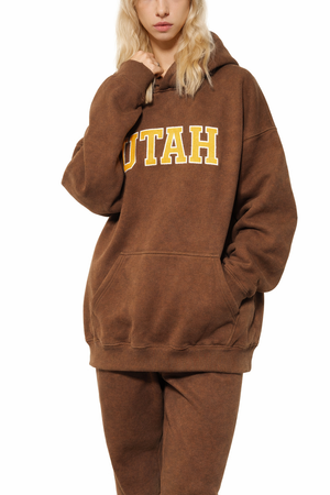Utah State Pride Hoodie in Brown / Sand — lifestyle 2