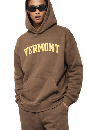 Vermont State Pride Hoodie in Brown / Cream — lifestyle 2