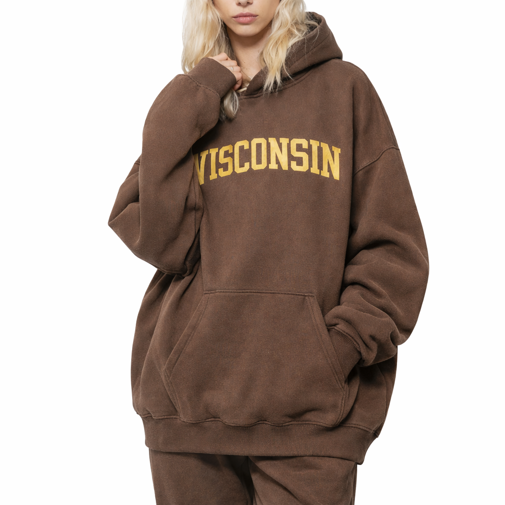 Wisconsin State Pride Hoodie in Brown / Cream — lifestyle 2