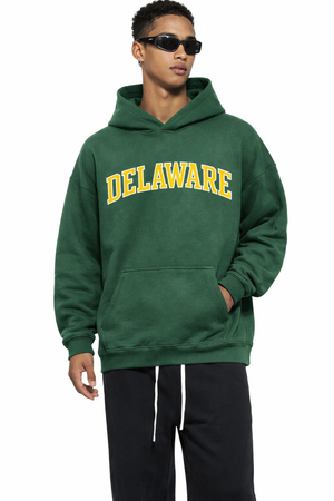 Delaware State Pride Hoodie in Eden Green / Gold — lifestyle 1