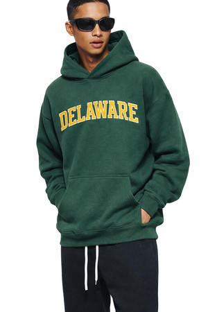 Delaware State Pride Hoodie in Eden Green / Gold — lifestyle 2
