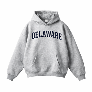 Delaware State Pride Hoodie in Flower Gray / Navy