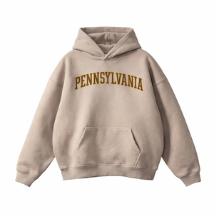 Pennsylvania State Pride Hoodie in Gray Apricot / Brown
