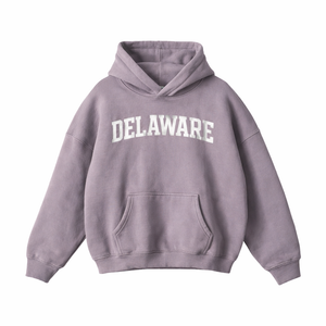 Delaware State Pride Hoodie in Light Purple / White