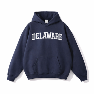Delaware State Pride Hoodie in Navy / White