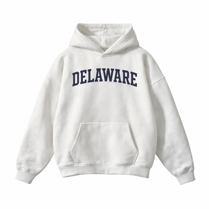 Delaware State Pride Hoodie in White / Navy