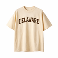 Delaware State Pride T-Shirt in Cream / Brown