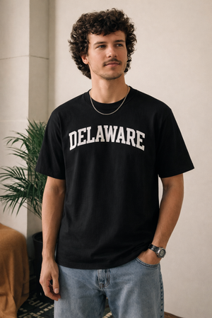 Delaware State Pride T-Shirt in Black / White — lifestyle 1