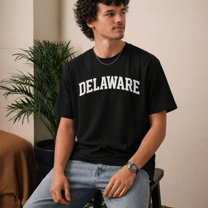 Delaware State Pride T-Shirt in Black / White — lifestyle 2