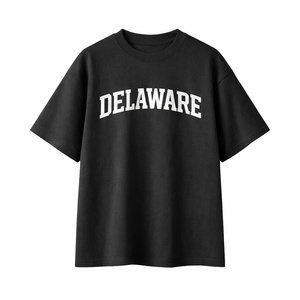 Delaware State Pride T-Shirt in Black / White