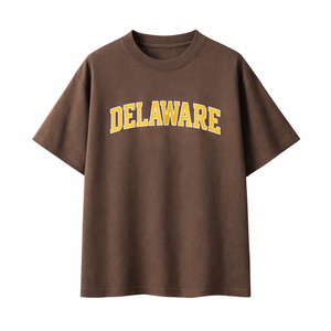 Delaware State Pride T-Shirt in Coffee / Gold