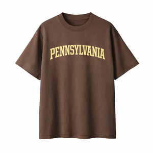 Pennsylvania State Pride T-Shirt in Coffee / Cream