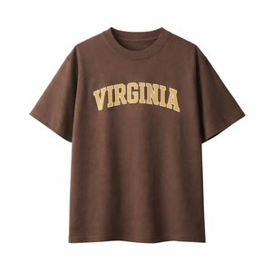 Virginia State Pride T-Shirt in Coffee / Sand