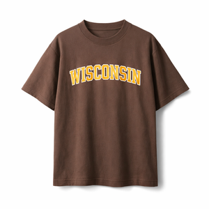 Wisconsin State Pride T-Shirt in Coffee / Gold