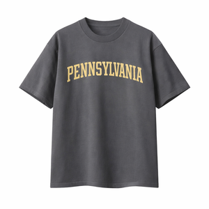Pennsylvania State Pride T-Shirt in Charcoal / Cream