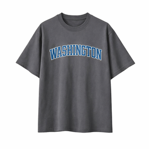 Washington State Pride T-Shirt in Charcoal / Cyan