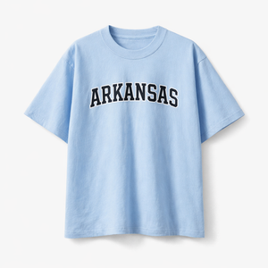 Arkansas State Pride T-Shirt in Light Blue / Navy