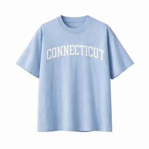 Connecticut State Pride T-Shirt in Light Blue / White