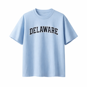 Delaware State Pride T-Shirt in Light Blue / Navy