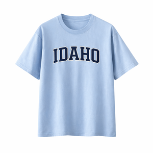 Idaho State Pride T-Shirt in Light Blue / Navy