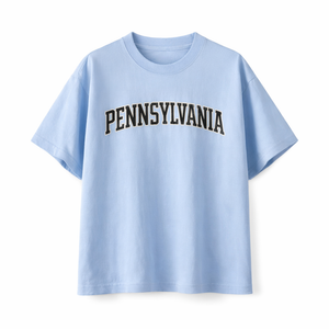 Pennsylvania State Pride T-Shirt in Light Blue / Navy