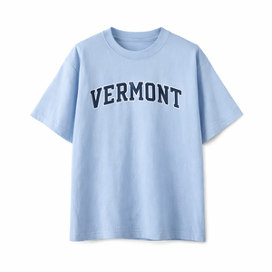 Vermont State Pride T-Shirt in Light Blue / Navy