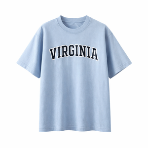 Virginia State Pride T-Shirt in Light Blue / Navy