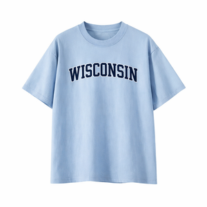 Wisconsin State Pride T-Shirt in Light Blue / Navy