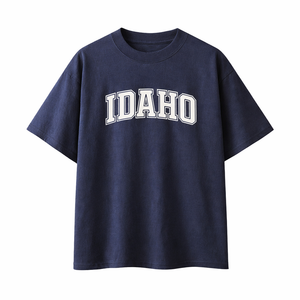 Idaho State Pride T-Shirt in Navy / White