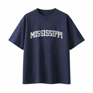 Mississippi State Pride T-Shirt in Navy / White