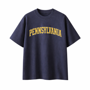 Pennsylvania State Pride T-Shirt in Navy / Gold
